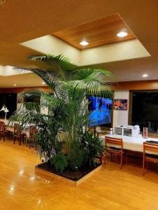 FutoにあるIzu One Club - Vacation STAY 10310vのテレビ付きの客室で、大きなヤシの木が植えられています。