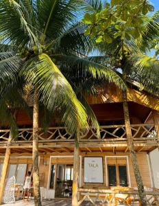 duas palmeiras em frente a um edifício em Villa Tala em Tua Pejat
