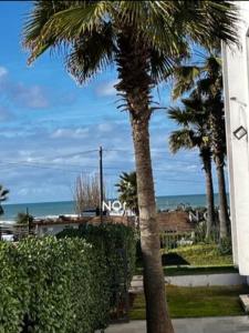 una palma di fronte a un edificio con l'oceano di Pied sur mer 'résidence galets sur mer' a Tamaris