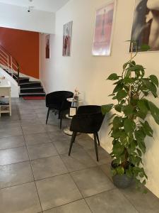 a waiting room with chairs and a potted plant at Hôtel Anna Livia in Cannes