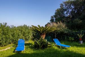 Κήπος έξω από το Beachfront Romantica place First floor