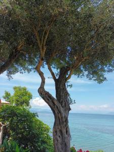 Φυσικό τοπίο κοντά σε αυτό το διαμέρισμα