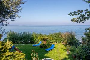 Φυσικό τοπίο κοντά σε αυτό το διαμέρισμα +25 φωτογραφίες