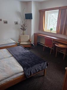 a bedroom with a bed and a desk and a window at Hotel Albert in Paseky nad Jizerou