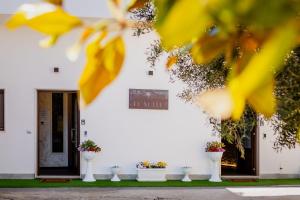 a white building with potted plants in front of it at LUXUITE Villa con Piscina e sauna o villa con jacuzzi e doccia emozionale in Alberobello +89 photos
