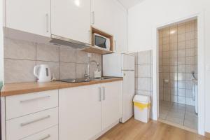 Kuchyň nebo kuchyňský kout v ubytování Apartments Senka