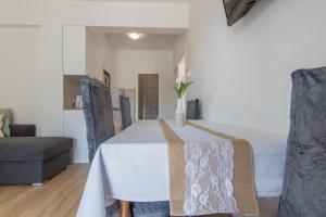 TV a/nebo společenská místnost v ubytování Apartments Senka