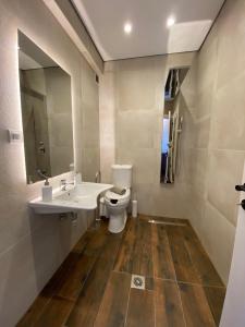 a bathroom with a toilet and a sink and a mirror at Monastiri Mountain Escape in Konitsa