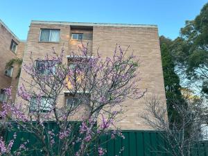 een bakstenen gebouw met een bloeiende boom ervoor bij Macquarie Treetops - Sydney 2BR Apt in the heart of Macquarie Park in Sydney