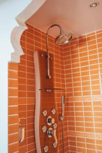 a bathroom with a shower with a toilet at Château Du Guérinet in Saint-Priest-Bramefant