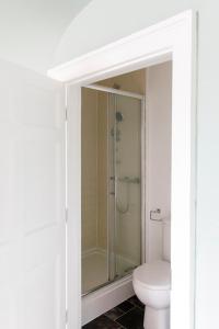 a bathroom with a shower and a toilet at St Richard's Apartment in Chichester