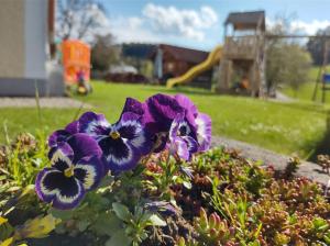 eine Gruppe lila Blumen in einem Garten in der Unterkunft Biohof Bernhard in Unterweissenbach