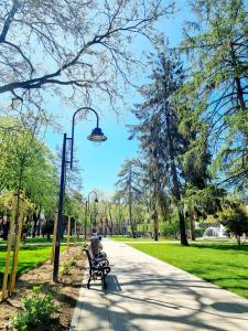 a park with two benches and a street light at GIA Apartment in Satu Mare