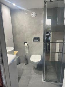 une petite salle de bain avec toilettes et douche dans l'établissement Tęczowy Domek - Balia z hydromasażem, à Darłowo