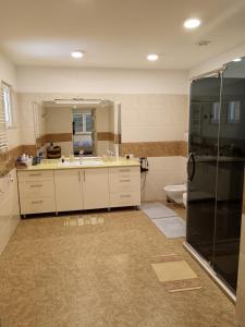 a large kitchen with a sink and a refrigerator at Rancho Laila in Shilda