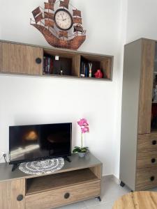 TV a/nebo společenská místnost v ubytování IRIS Apartment
