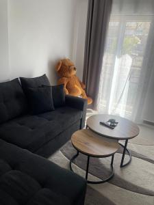 Posezení v ubytování IRIS Apartment