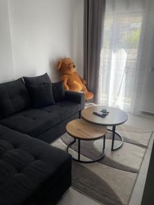 Posezení v ubytování IRIS Apartment
