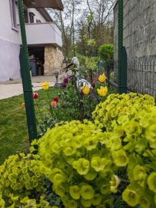 un jardin avec des fleurs jaunes dans une cour dans l'établissement VILLA CHANTAL, à Verdun-sur-Meuse