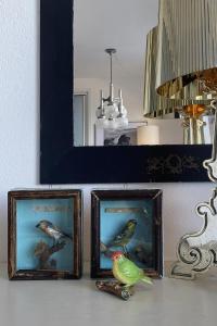dwa oprawione zdjęcia ptaków siedzących na stole w obiekcie Les Bastides 3028 w mieście Grimaud