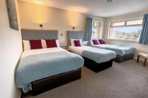 Katil atau katil-katil dalam bilik di Killarney View House B&B