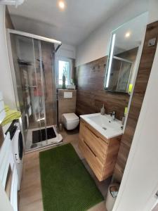 een badkamer met een douche, een wastafel en een toilet bij Ferienhaus Hilde in Sangerhausen