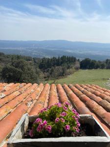 Príroda v okolí of the country house