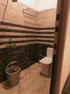 a bathroom with a toilet and a bath tub at Sky Inn paying guest house in Varanasi