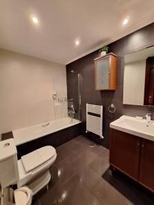 een badkamer met een toilet en een wastafel bij Apartamento Enol in Cangas de Onís