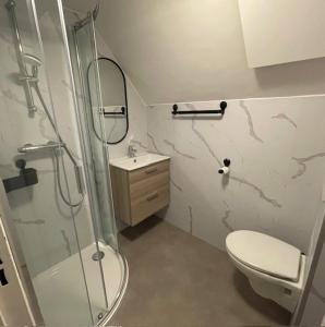 een badkamer met een douche, een toilet en een wastafel bij Vakantiewoningen 'Hoeve de Witte Olifant' in Noorbeek