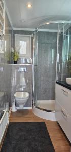 a bathroom with a shower and a toilet and a sink at Mobilheim Marine Glück im Yachthafen Peenemünde in Peenemünde +19 photos