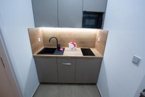 a small kitchen with a sink and a stove at Budget Apartment in Prague