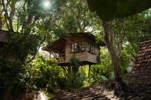 une cabane dans les arbres au milieu d'une forêt dans l'établissement Roots Tree House, à Uluwatu