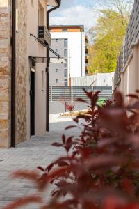 an empty street with a building and a plant at ENEVI Guest Houses in Sandanski