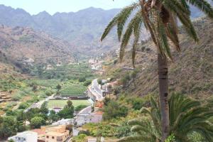 a palm tree in front of a mountain with a road at Vivienda Vacacional Cuenca de Liria in Hermigua
