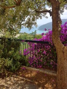 a garden with purple flowers and a fence at Villino Bougainvillea in Voze