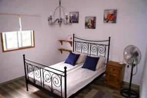 a bedroom with a bed with blue pillows and a fan at Vivienda Vacacional Cuenca de Liria in Hermigua