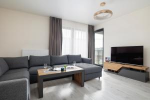 sala de estar con sofá y TV en Beautiful & Spacious 1 Bedroom Apartament with Balcony by Renters en Cracovia