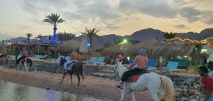 a group of people riding horses on the beach at Panorama Lodge Nuweiba in Nuweiba