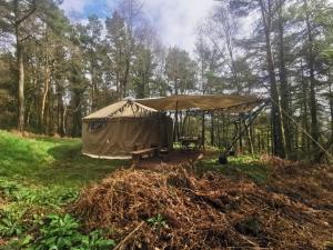 a tent in the middle of a forest at Sweet Hill Eco Fort in Exeter