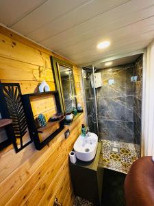 La salle de bains est pourvue d'un lavabo et d'une douche. dans l'établissement Yucca tiny house, à Orta