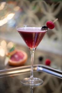 uma bebida vermelha num copo de martini com uma framboesa em Hotel Le Parc em Wiener Neustadt