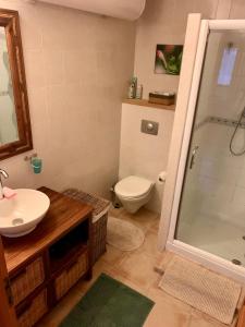 een badkamer met een toilet, een wastafel en een douche bij Gîte au calme, à la campagne in Magrin