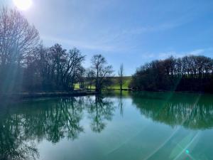 een uitzicht op een meer met bomen in de verte bij Gîte au calme, à la campagne in Magrin