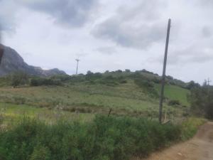 una colina de hierba con un poste a un lado de una carretera en località Zarvenu (Murtas Artas) en Siniscola