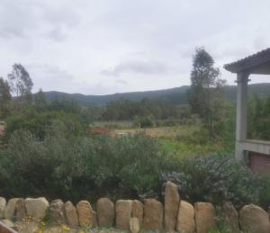 un jardín con una valla de piedra y montañas al fondo en località Zarvenu (Murtas Artas) en Siniscola