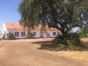 Gallery image of Tarola Place, a unique country house! in São Cristóvão +36 photos