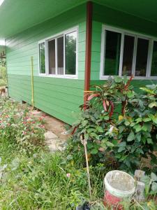 a green house with a bush in front of it at Papa Camping Home and Bungalows in Thalang