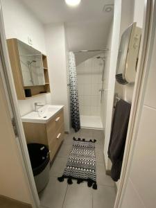 a small bathroom with a sink and a shower at Au 154 Bis - Bel appartement - Le Jardin in Dunkerque