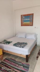 uma cama num quarto com uma fotografia na parede em Panorama Lodge Nuweiba em Nuweiba